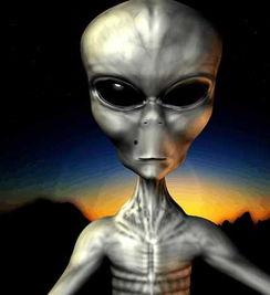 火影外星人爆料视频在线观看,揭秘忍界与外星文明的神秘联系  第2张